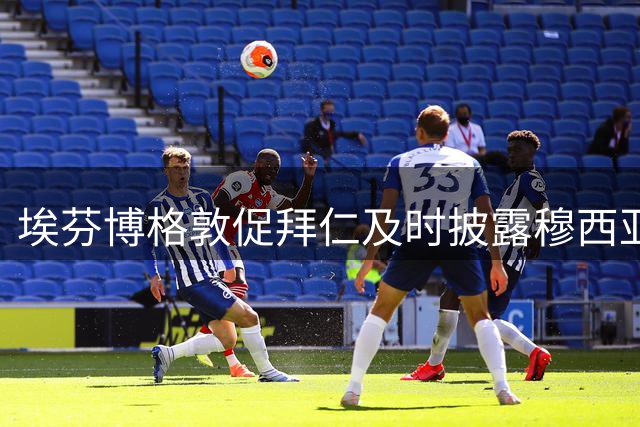 埃芬博格敦促拜仁及时披露穆西亚拉健康状况