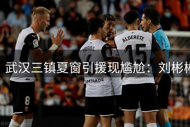 武汉三镇夏窗引援现尴尬：刘彬彬意外落选引发热议