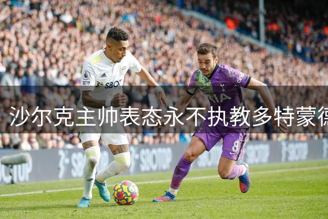 沙尔克主帅表态永不执教多特蒙德 期待未来执掌波黑国家队
