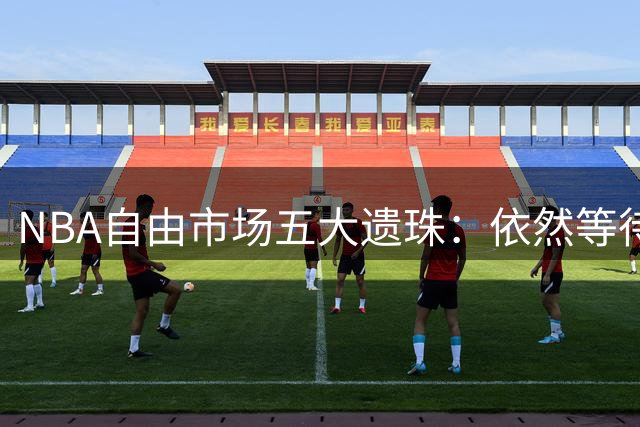 NBA自由市场五大遗珠：依然等待召唤的全明星级战力